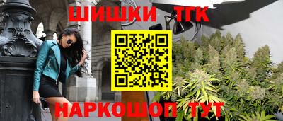 стафф Новодвинск