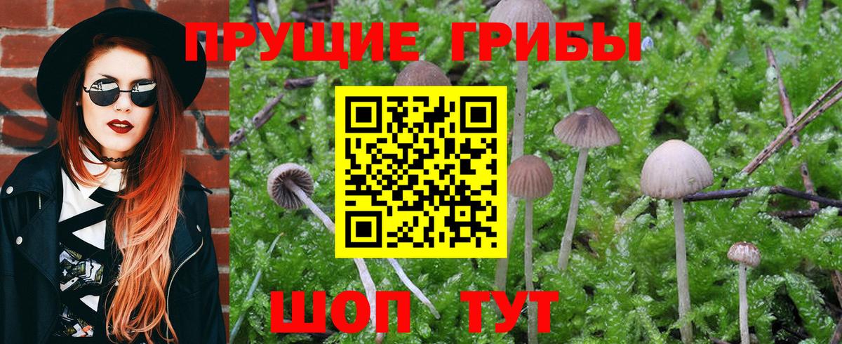 Галлюциногенные грибы Magic Shrooms Аксай